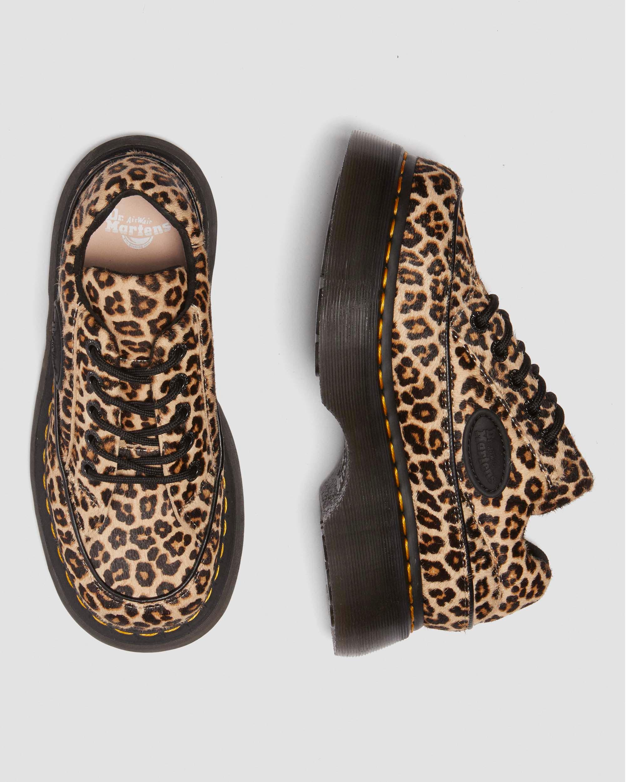 Buzz 5-Eye Leopard Shoes